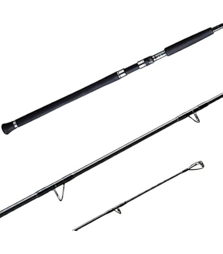 Amazon.com : Shimano OCEA Plugger Big Game, Saltwater