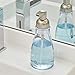 InterDesign Foaming Soap Dispenser for Kitchen, Bathroom, Sink, Vanity, Pack of 1, Clear and Brushed Nickel