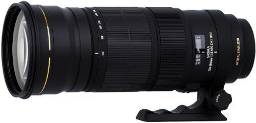 Amazon Com Sigma 1 300mm F 2 8 Af Apo Ex Dg Os Hsm Lens For Nikon Digital Slrs Digital Slr Camera Lenses Camera Photo