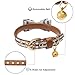 EXPAWLORER Bow Tie Dog Collar and Leash Set Classic Plaid Adjustable Dogs Bandana and Collars with Bell for Puppy Cats 3 PCS Beigethumb 4
