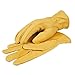 Wells Lamont Men's Deerskin Full Leather Light-Duty Driving Gloves | Medium (962M) Gold
