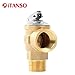 iTANSO 3/4-Inch IPS Isolator Tankless Water Heater Service Valve Kit with Clean Brass Construction