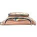 CHAOM Women Laser Waist Bag Waterproof Shiny Neon Fanny Bag Bum Bag Beach Purse (Champagne Gold)