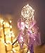 Light Up Dream Catchers for Bedroom Wall Hanging Decorations, LED Dreamcatcher Home Ornaments with 20 LED Lights,Fantasy Gifts for Kids, Caught your Dream (Purple)