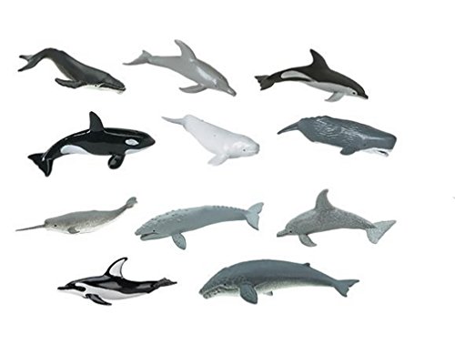 Safari Ltd Dolphins and Whales TOOB