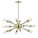 Light Society Sputnik 18-Light Chandelier Pendant, Brushed Bronze, Mid Century Modern Industrial Starburst-Style Lighting Fixture (LS-C115-BRS)