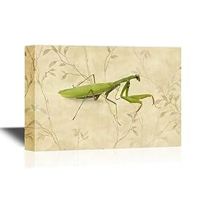 Insects Artwork Series Canvas Wall Art - A Praying Mantis on Floral Background - Gallery Wrap Modern Home Art | Ready to Hang - 12x18 inches