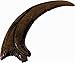 Geoworld Dino Claws Collection Toy (6 Piece)
