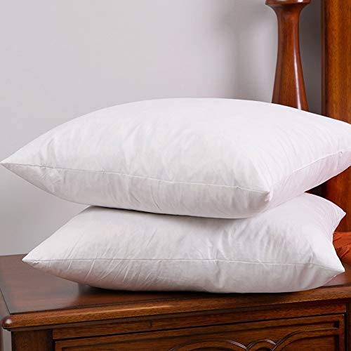 Set Of 2 Down And Feather Throw Pillow Insert The Fabric Is