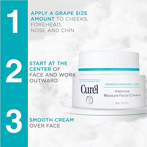 Curel Japanese Skin Care Intensive Face Moisturizer Cream, Hydrating