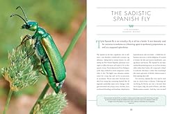 The Wonder Cabinet of Fabulous Insects: Secrets of