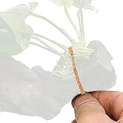 SunGrow Self-Dissolving Driftwood