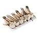 Jili Online 12Pieces Cute Small Artificial Feather Bird Foam Birds Photo Props Home Table Garden Bonsai Decor