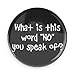 Funny Magnets; Sarcastic Humor: What Is This Word 