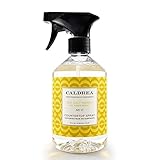 Caldrea Countertop Cleanser-Sea Salt Neroli-16 Oz.