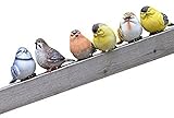 「Shikyo Japan」 Garden ornament Cute Small Bird (Six Small Birds)