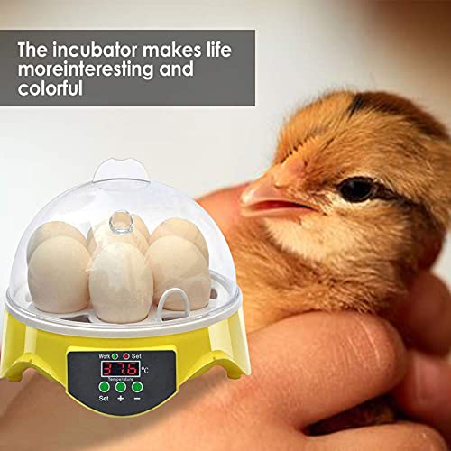 Nienyu Mini-Ei-Inkubator, 7-Loch-Micro-Inkubator mit Temperaturfeuchtigkeitssteuerung, tragbarer Zuhause-Inkubator für… – Bild 6