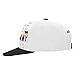 World Cup Soccer Germany Mens -Jersey Hook Flag Snapback, White, One Size