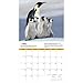 Penguins 2017 National Geographic Wall Calendar