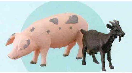 Morning B color 1/35 scale of livestock animals of the capsule Q Museum Hokkaido Sango ranch [3. pigs and goats [B color]] (single)