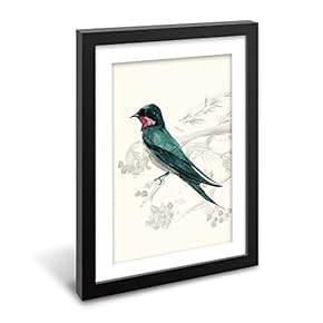 Black Paper Framed Canvas Wall Art for Living Room, Bedroom Beautiful Birds Flying Canvas Prints for Home Decoration Ready to Hanging - 23x31 inches