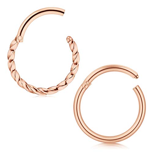 Briana Williams 2pcs Nose Rings 8mm Hinged Seamless Lip Clicker Tragus Helix Daith Ring 16G Surgical Steel Piercing