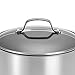 Circulon Genesis Stainless Steel Dutch Oven, 5 Quart