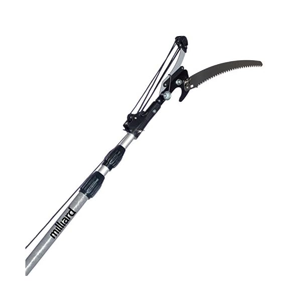 Milliard 616 Foot Extendable Tree Pruner/Pole Saw with 3Sided Blade