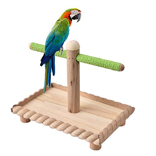 kathson Bird Perches, Parrot Stands Training Playground Play Gym Portable Tabletop Natural Wood Cage Accessories Ideal for Parakeets Lovebirds African Grey Budgies
