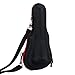 Laserworks Hardshell Case for Wireless Microphones,Handheld Microphone,Karaoke Speaker(Black)