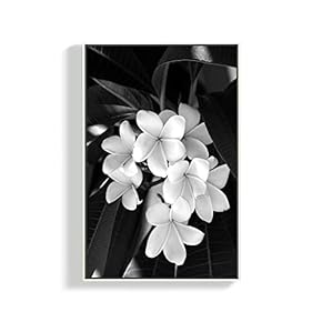 Canvas Wall Art for Living Room, Bedroom Plants Framed Canvas Prints for Home Decoration Ready to Hang - 16x24 inches