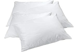 Elaine Karen 2-Pack Vinyl Allergy Pillow Protectors - Queen Size Bed Bug Zippered Pillow Covers - 100% Waterproof - Washable and Reusable Pillow Encasement Covers
