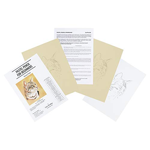 Learn To Draw With Pastel Pencils Beginners Starter Pack Anim King Charles - 