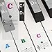 Piano Stickers for Keys - Color Piano Keyboard Stickers For 88/61/54/49 - Removable with Numbers, Leaves No Residue, User Guide ，Perfect for the Beginners