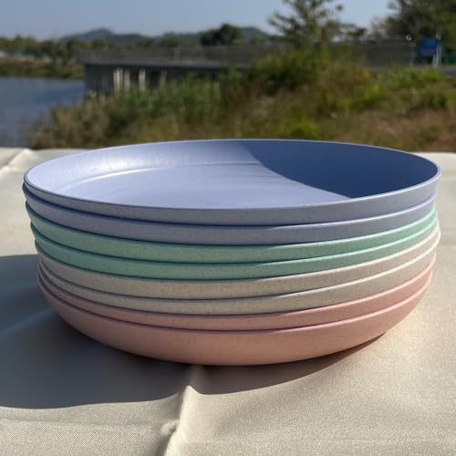 WEXINHAO Wheat Straw Plates 10 inch Plastic Plates Reusable