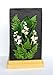 Flower Pro Ferns Silicone Mold For Cake Decorating & Craft for Use with Fondant, Gum Paste, Sugar Paste & Air Dry Clay from Katy Sue Silicone Molds