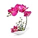 Louis Garden Artificial Silk Flowers 7 Head Simulation Phalaenopsis Bonsai (Simulation of Water) (Purple)