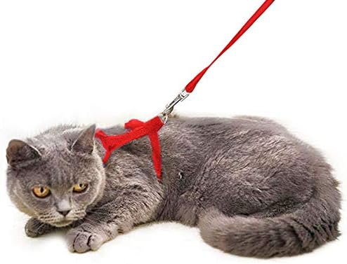 SadocomEscape Proof Cat Set of Harness and Lead -Soft Adjustable Nylon Leash - Best for Kitten Rabbits Puppy Walking