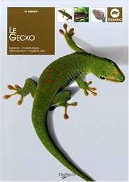 Le  gecko