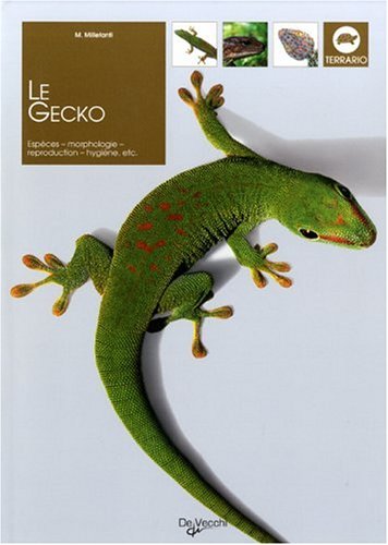 Le  gecko