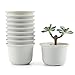 T4U 3.5 Inch Plastic Round succulent Plant Pot/Cactus Plant Pot Flower Pot/Container/Planter Package 1 Pack of 10