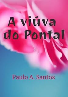 Livro A Viúva Do Pontal