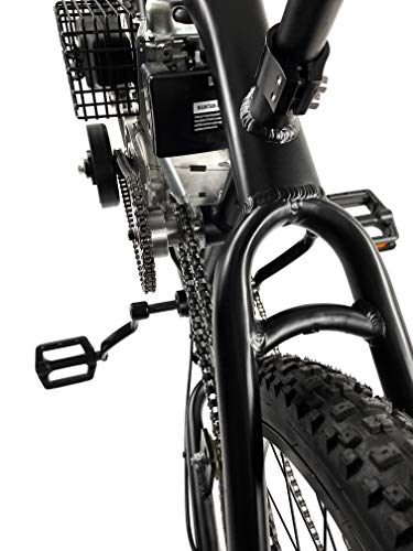 phatmoto bike review