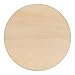 Unfinished Wood Circles 2 inch, 1/8 inch Thick, Pack of 100 Blank Tokens with Rustic Burnt Edges, Wood Discs for Crafts, by Woodpeckers