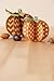 Cricut Projects Cartridge for Paper Crafting, Home for The Holidays Fall and Winter