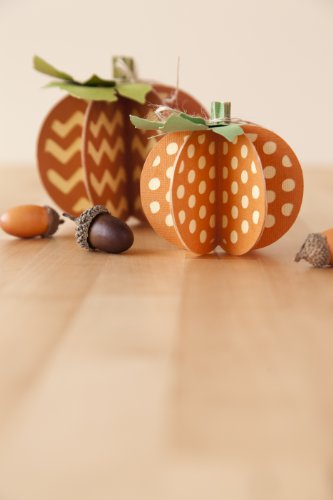 Cricut Projects Cartridge for Paper Crafting, Home for the Holidays Fall and Winter