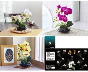 Amazon 光触媒 卓上型胡蝶蘭 フェイクフラワー ホワイト 脱臭効果 インテリア お手入れ簡単 奏 かなで 光触媒 造花