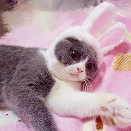 Ma Jia Deguisement Pour Chat Chapeau Oreille De Lapin Blanc 14 X Cm Adorable Simple Genereux Pour Petites Fetes De Chiens Et Chats Anniversaires Garder La Chaleur En Hiver Animaux De