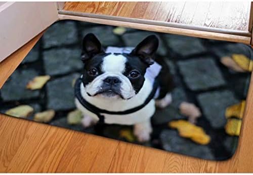 Dellukee Indoor Outdoor Doormats Cute Dog Printed Non Slip Durable Washable Funny Home Decorative Door Mats Rugs for Entrance Bedroom Bathroom Kitchen, 23 x 16 Inches