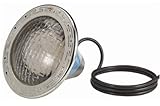 Pentair 601002 IntelliBrite 5G Color Underwater LED Pool Light, 120 Volt, 100 Foot Cord